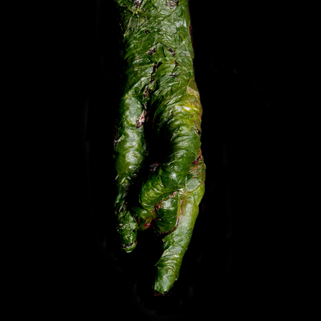 Green Horned Hand